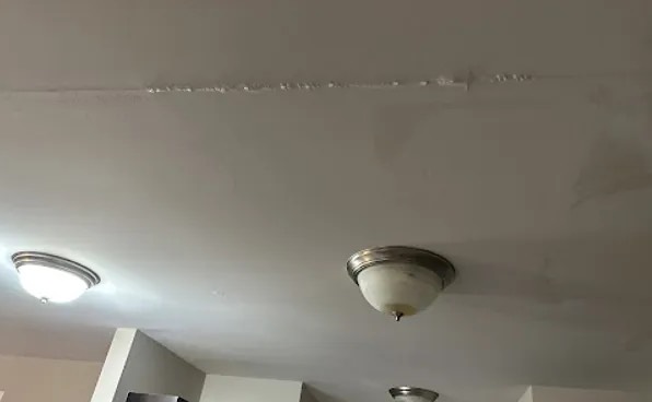 Wall Mold Removal in DeWitt Township, MI