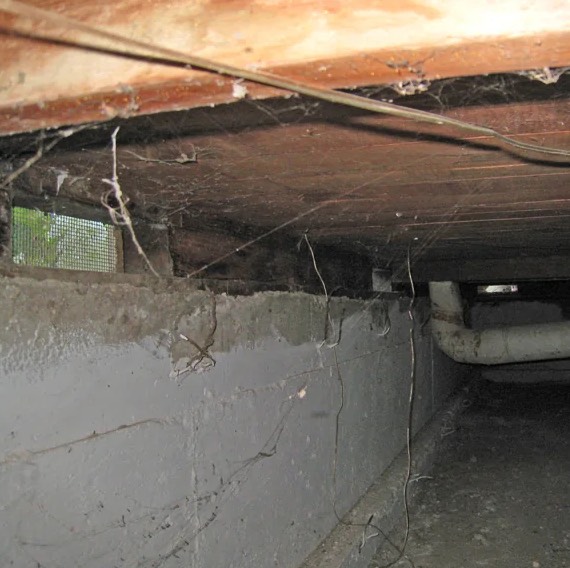 Crawlspace Water Damage Cleanup in DeWitt Township, MI