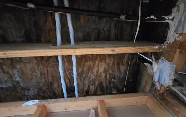 Attic Mold Removal in DeWitt Township, MI