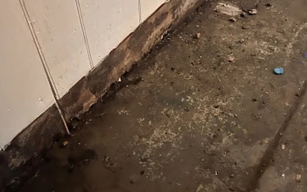 Biohazard Cleanup Services in Ann Arbor, MI
