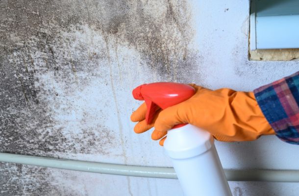 Mold Remediation Lansing, Michigan