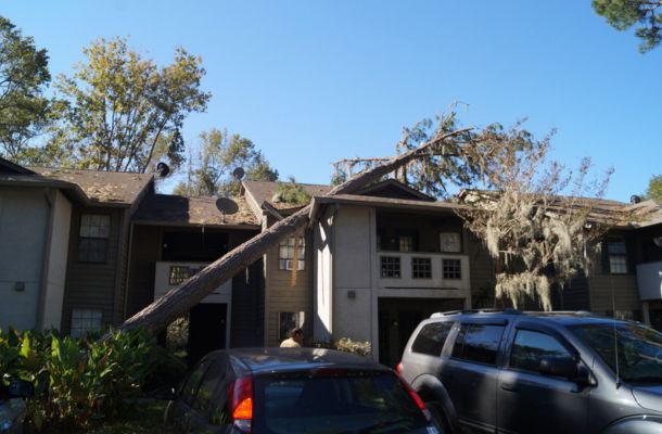 Storm Damage Restoration Lansing, Michigan